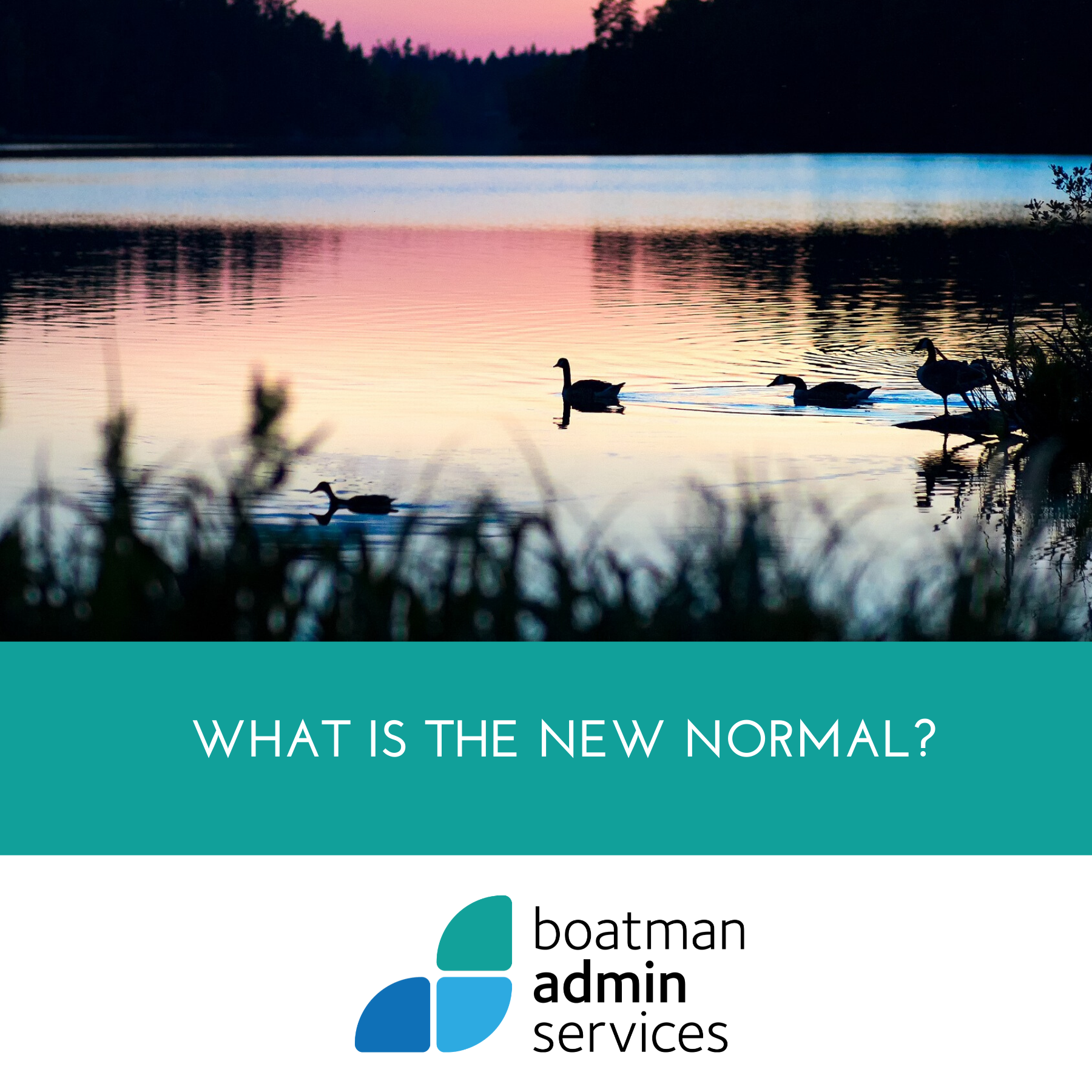 What is the new 'normal'?